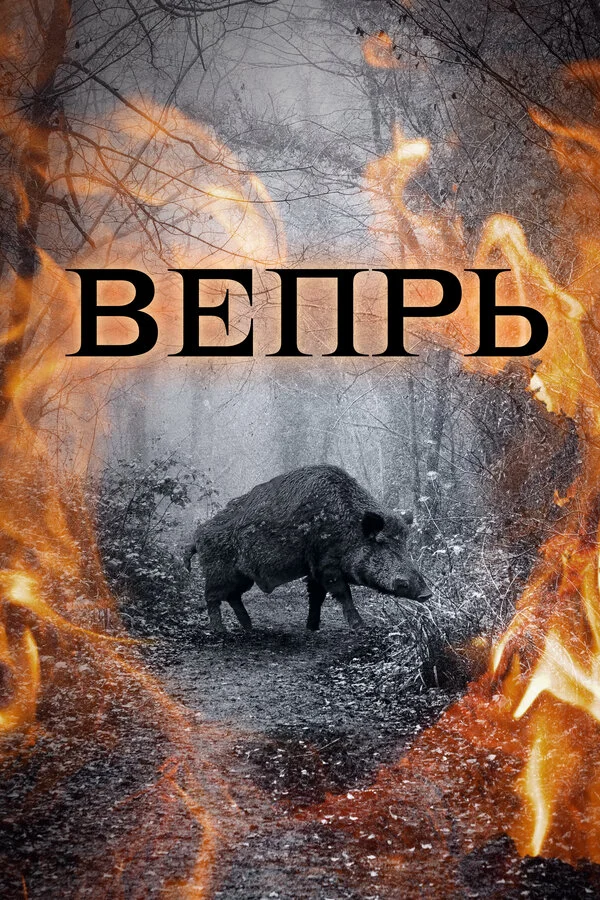 Вепрь - постер